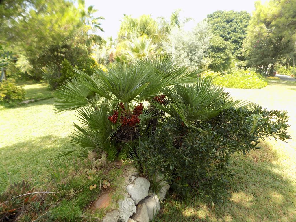 Asparano Ognina Exterior photo